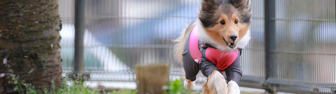 フェンス・門扉